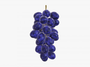 Grapes 04 3Dモデル