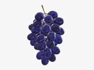 Grapes 04 3Dモデル