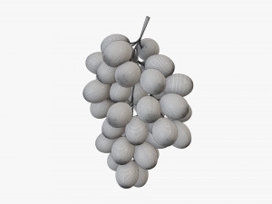 Grapes 04 3Dモデル