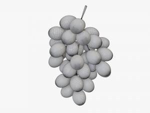 Grapes 04 3Dモデル