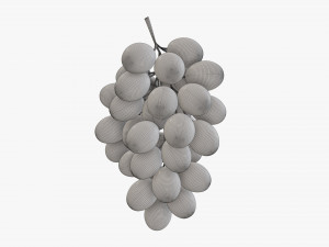 Grapes 04 3Dモデル