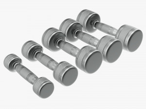 Chrome dumbbell set Modelo 3D
