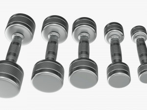Chrome dumbbell set Modelo 3D