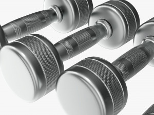 Chrome dumbbell set Modelo 3D