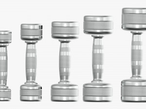 Chrome dumbbell set Modelo 3D