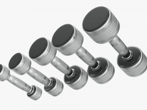 Chrome dumbbell set Modelo 3D
