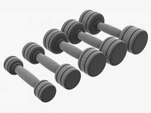 Chrome dumbbell set Modelo 3D