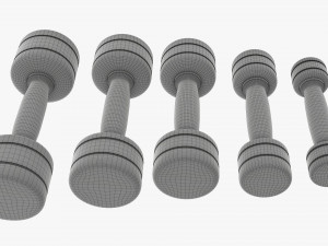 Chrome dumbbell set Modelo 3D