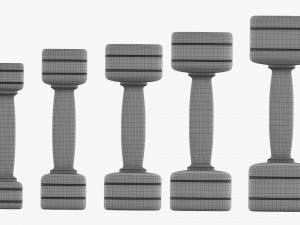 Chrome dumbbell set Modelo 3D