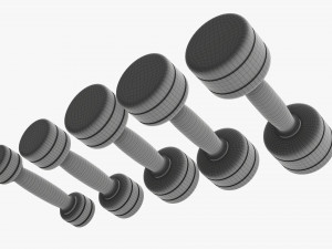 Chrome dumbbell set Modelo 3D