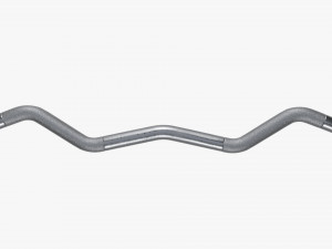 Curved weight bar with weights 3D 모델