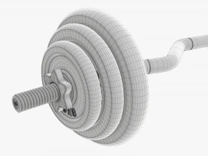 Curved weight bar with weights 3D Model
