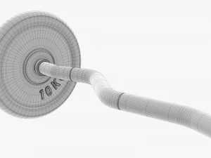 Curved weight bar with weights 3D Model