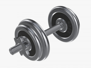 Dumbbell handle with weights Modelo 3D