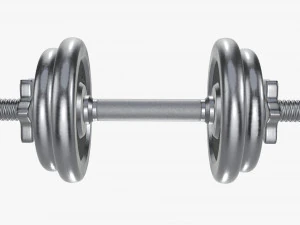 Dumbbell handle with weights 3D Model