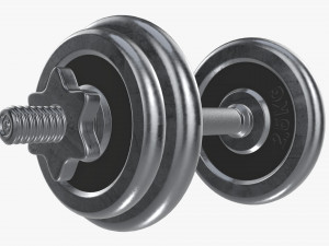 Dumbbell handle with weights 3D Модель