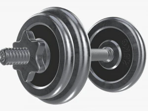 Dumbbell handle with weights 3D Model