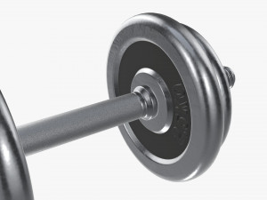 Dumbbell handle with weights 3D Модель