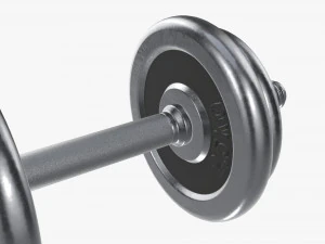 Dumbbell handle with weights 3D Model