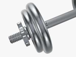 Dumbbell handle with weights 3D Model
