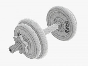 Dumbbell handle with weights 3D Модель