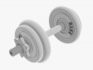 Dumbbell handle with weights 3D Model