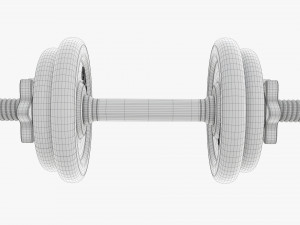 Dumbbell handle with weights 3D Модель