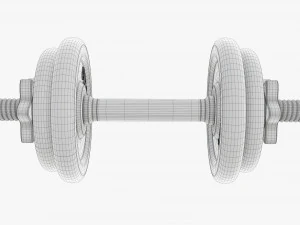 Dumbbell handle with weights 3D Model