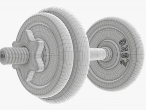 Dumbbell handle with weights 3D Model
