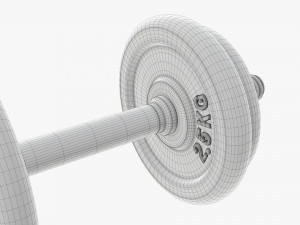 Dumbbell handle with weights 3D Модель