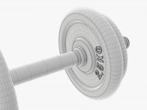 Dumbbell handle with weights 3D Model