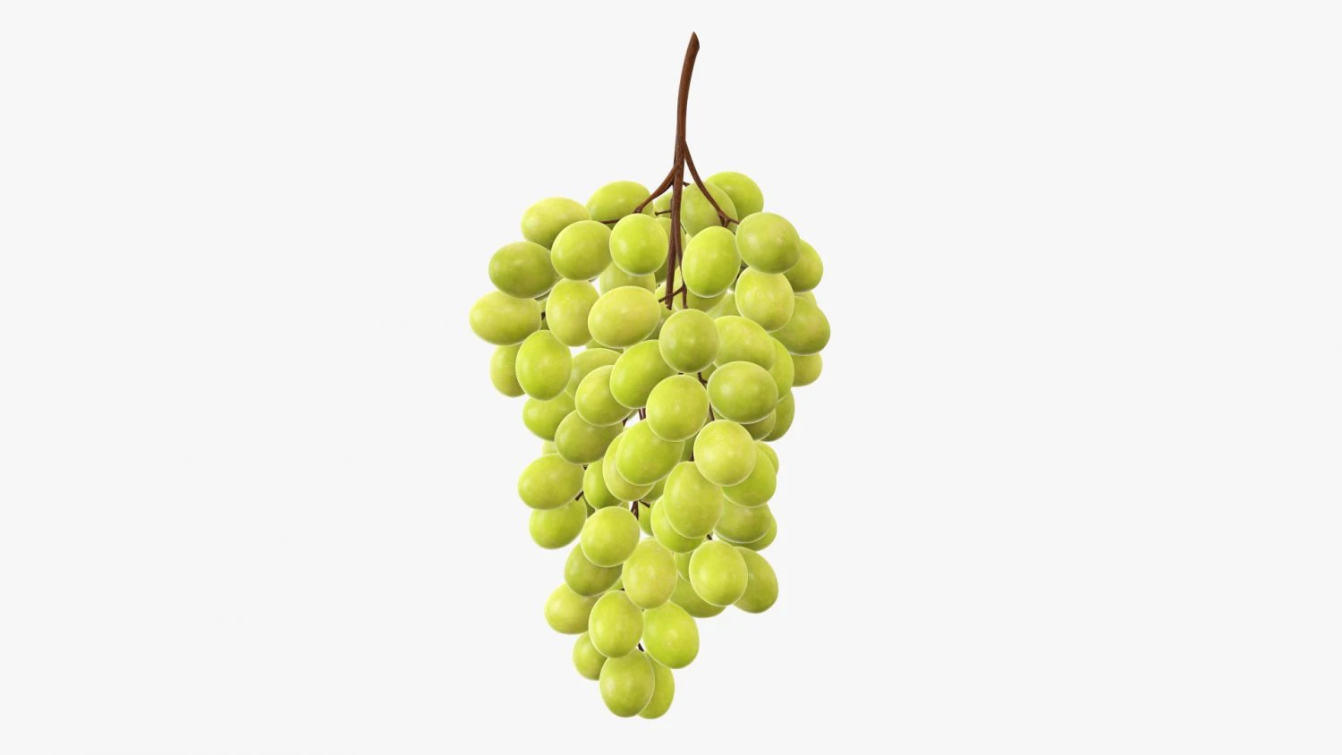 Grapes 05 3D Model .c4d .max .obj .3ds .fbx .stl .blend 