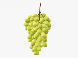 Uvas 05 Modelo 3D