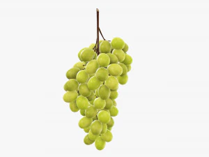 Grapes 05 3D Model