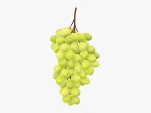 Grapes 05 3D Model