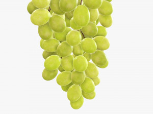 Grapes 05 Modelo 3D