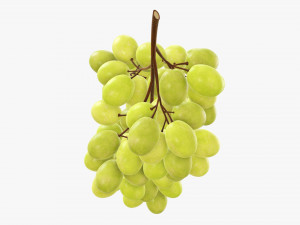 Grapes 05 Modelo 3D
