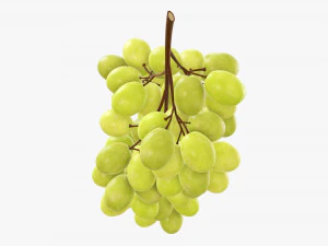 Grapes 05 3D Model