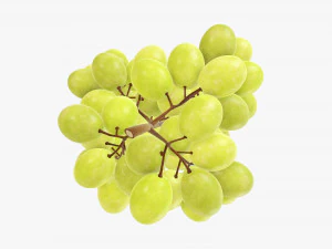Grapes 05 3D Model