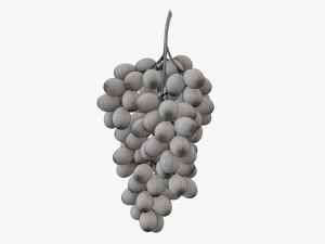Grapes 05 Modelo 3D