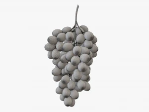 Grapes 05 3D Model