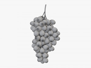 Grapes 05 Modelo 3D