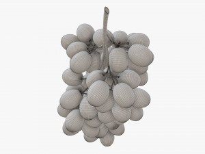 Grapes 05 Modelo 3D