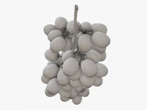 Grapes 05 3D Model