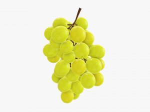 Grapes 06 3D Model