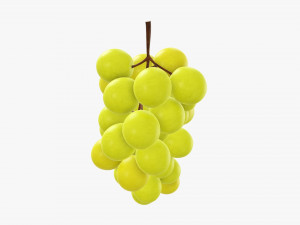Grapes 06 Modelo 3D