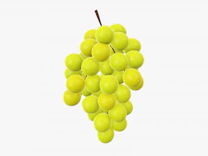 Trauben 06 3D Modell