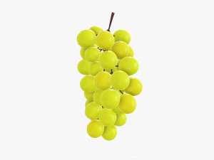 Trauben 06 3D Modell