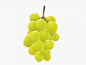 Trauben 06 3D Modell