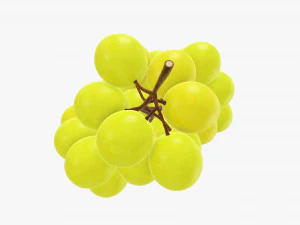 Trauben 06 3D Modell